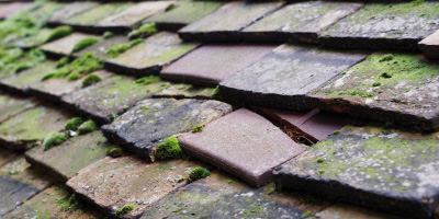 Duffryn roof repair costs